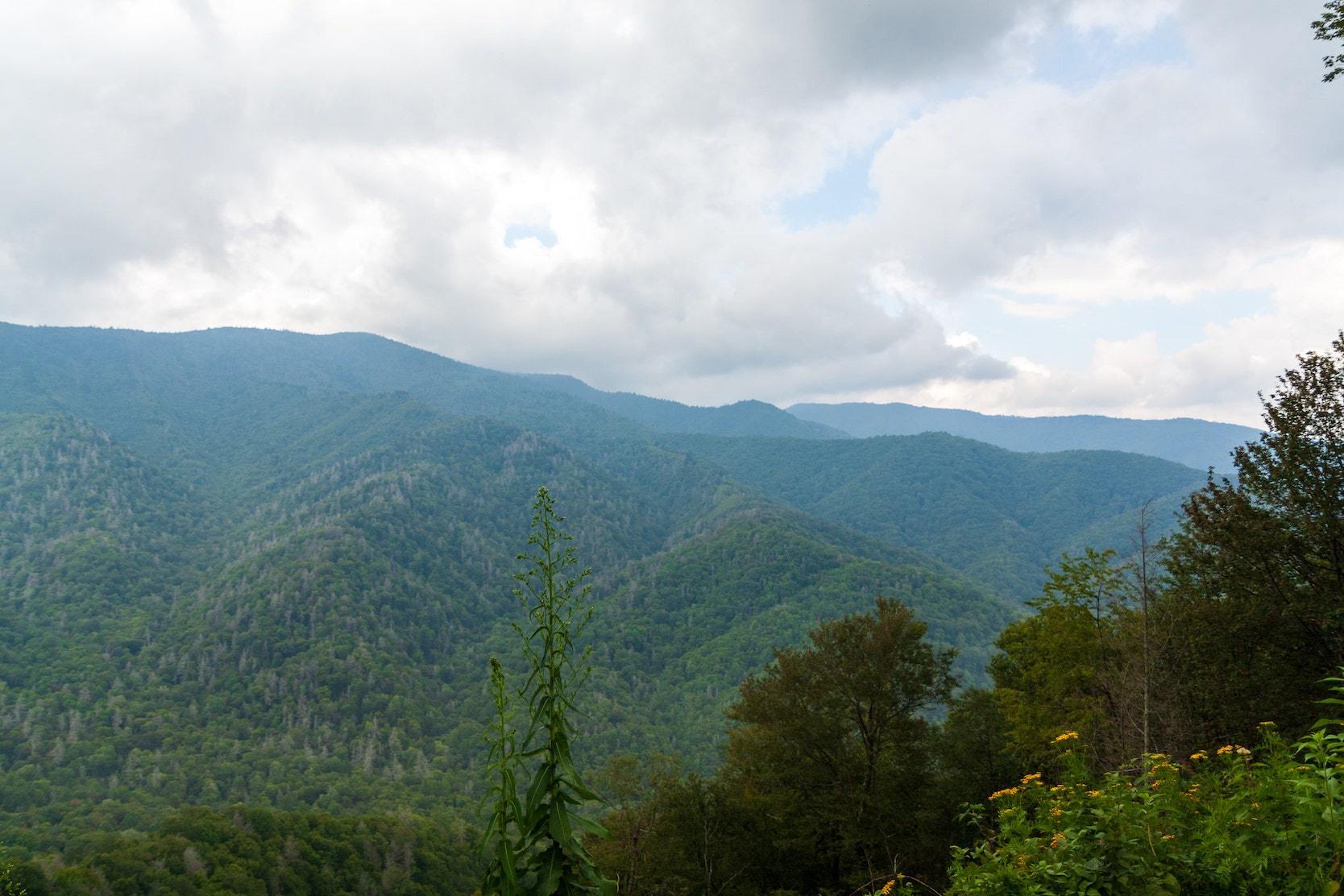 Mountains and greenery surrounding Oak Ridge, TN. 